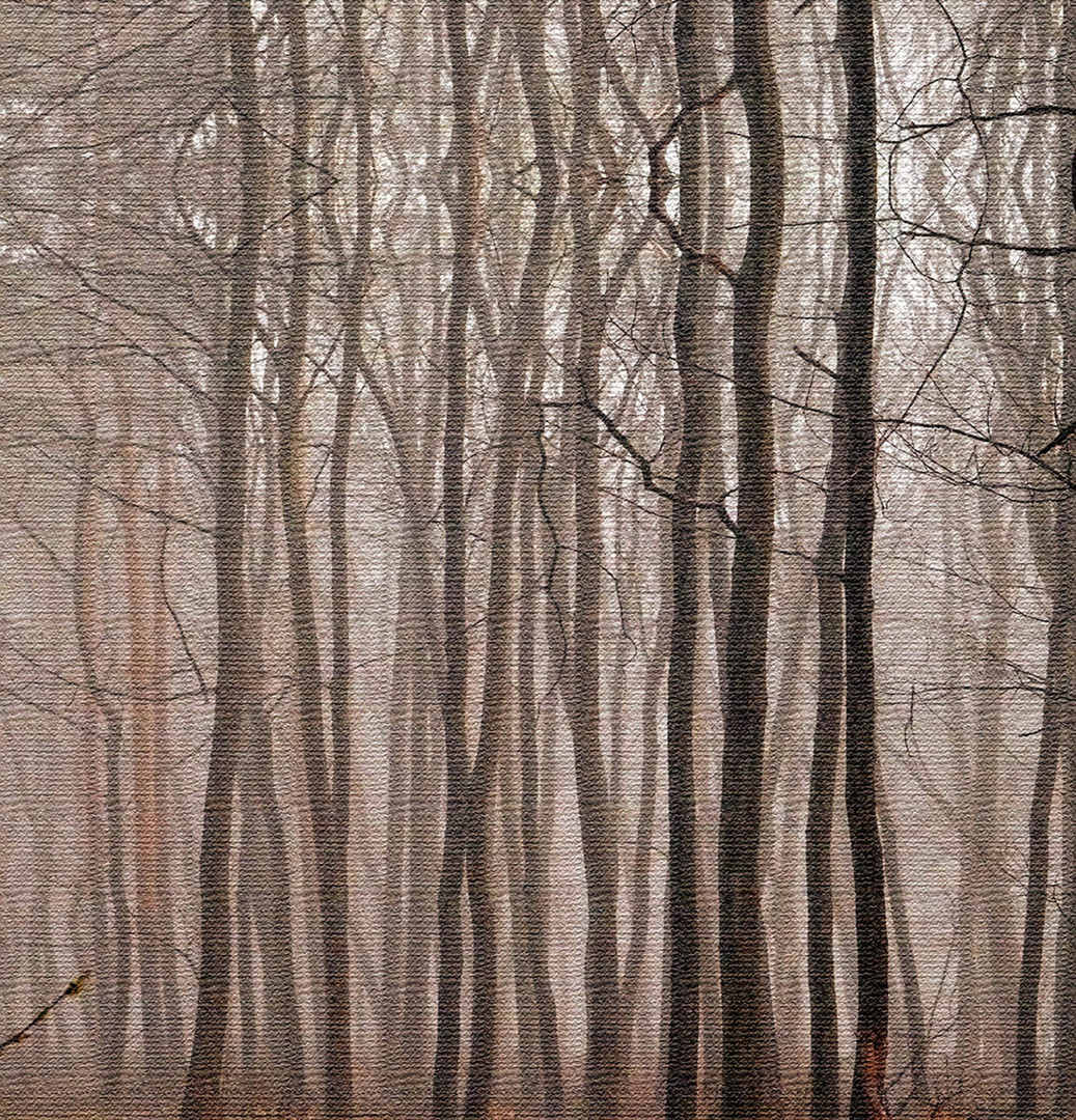 Wald im Regen