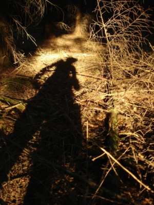 Wald im Schatten des Menschen