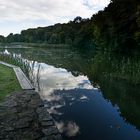 Wald im Spiegel