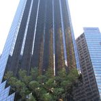 Wald im Trump Tower