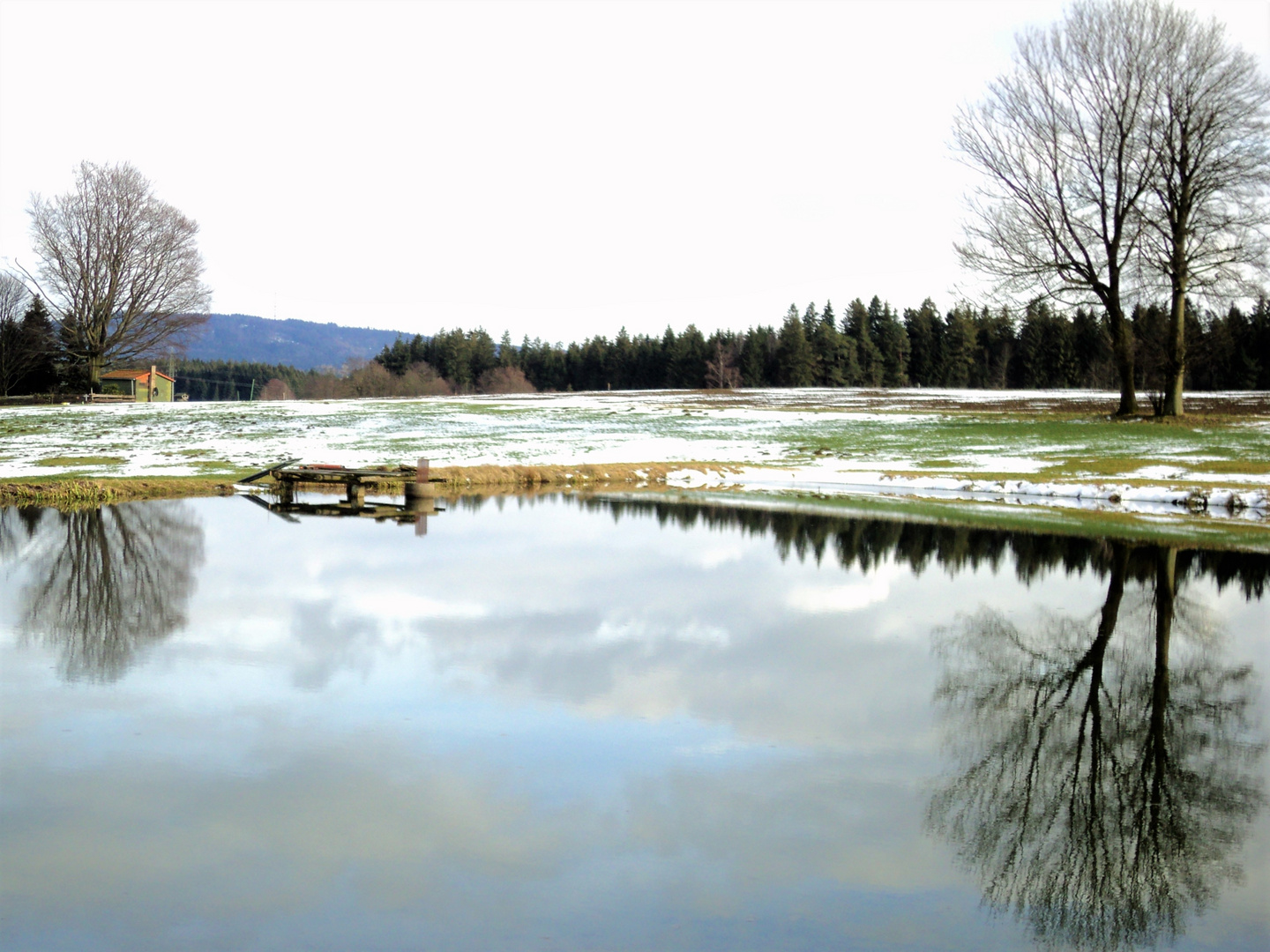 Wald im Wasser, Schnee auf der Wiese   Ende April 2016