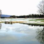 Wald im Wasser, Schnee auf der Wiese   Ende April 2016