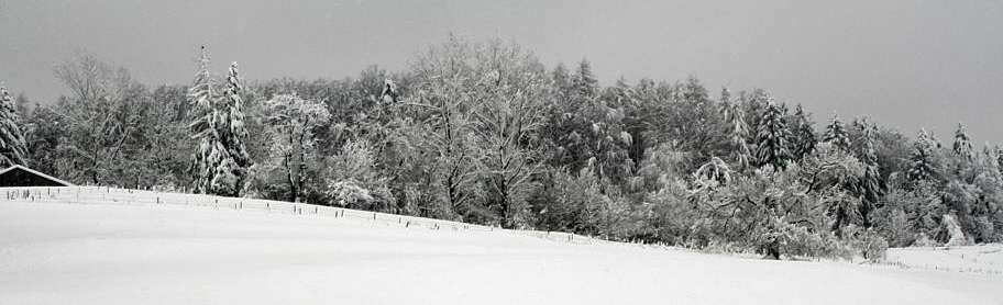 Wald im Winter, Reload