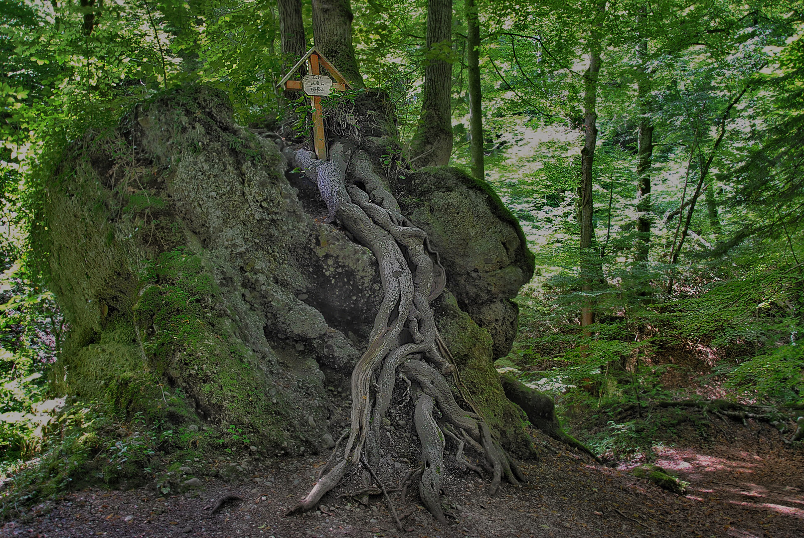 Wald-Impression 