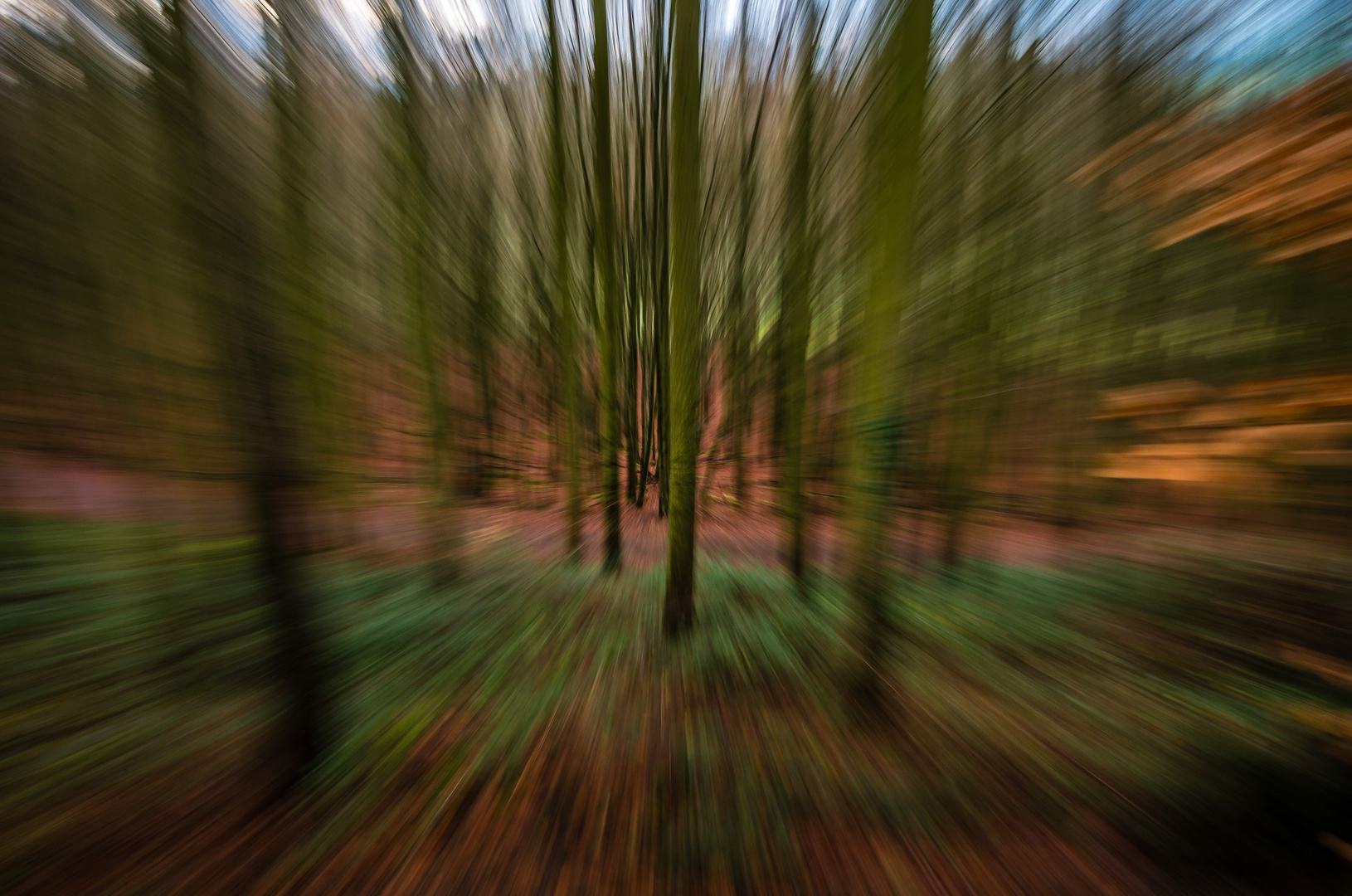 Wald in der Eifel im Winter