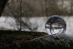 Wald in der Glaskugel bei Schnee