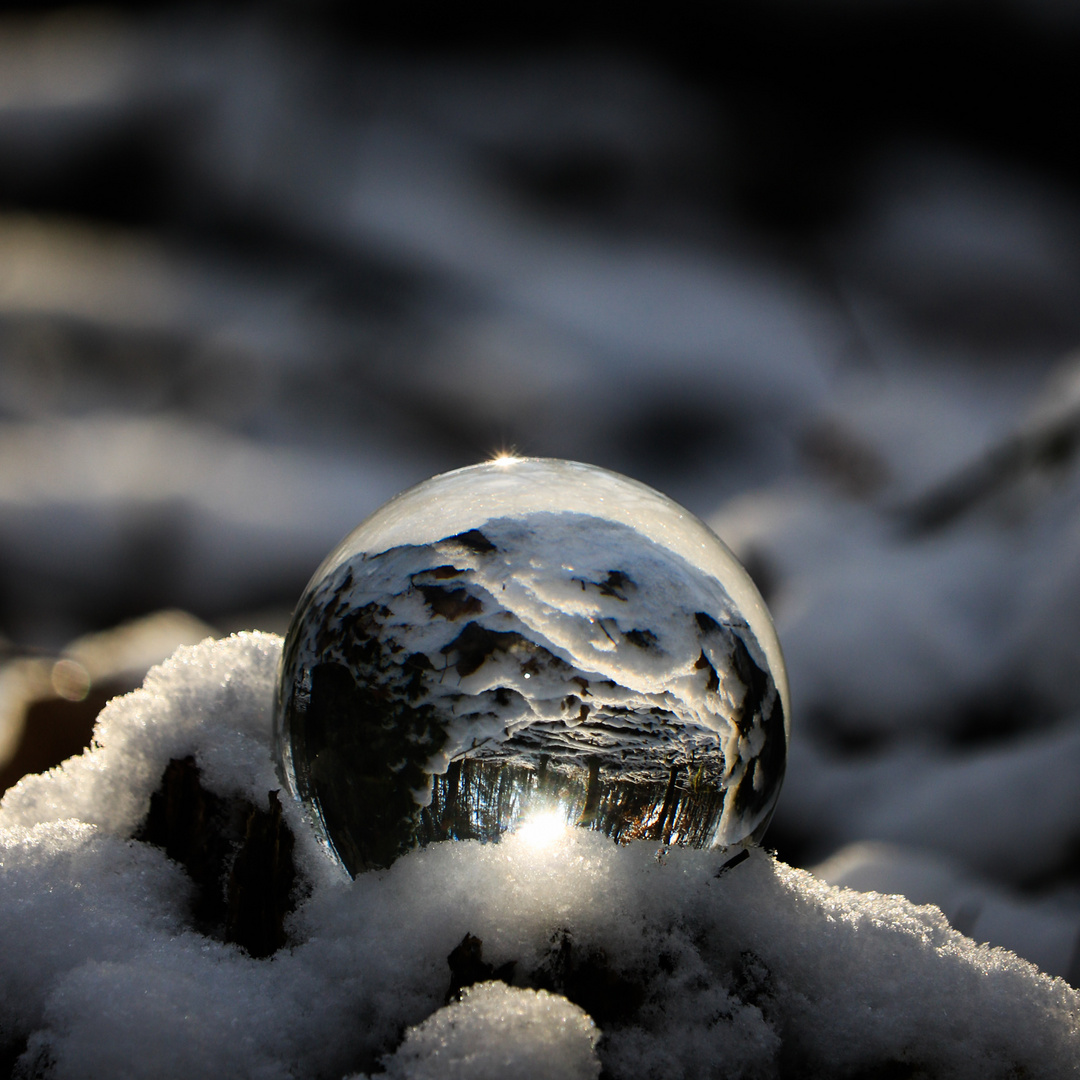 Wald in der Glaskugel bei Schnee