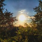 Wald in Strahlenden Farben