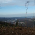 Wald ist weg