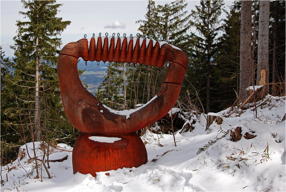 Wald - Kunst II Die Bergharfe