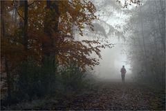 Wald-Lauf