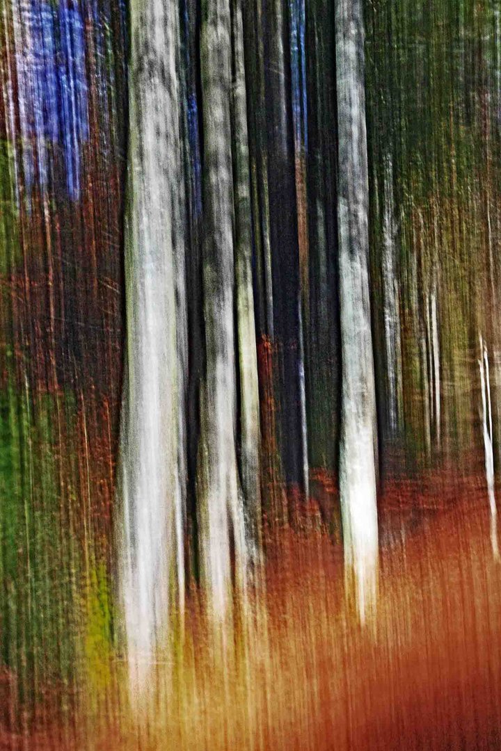 Wald mal abstrakt