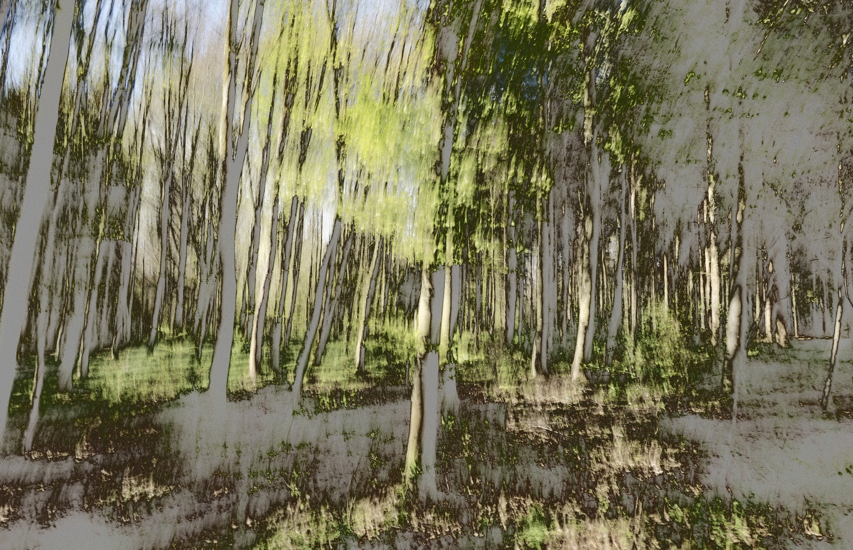 Wald malerisch