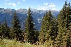 Wald mit Blick auf die Berge…