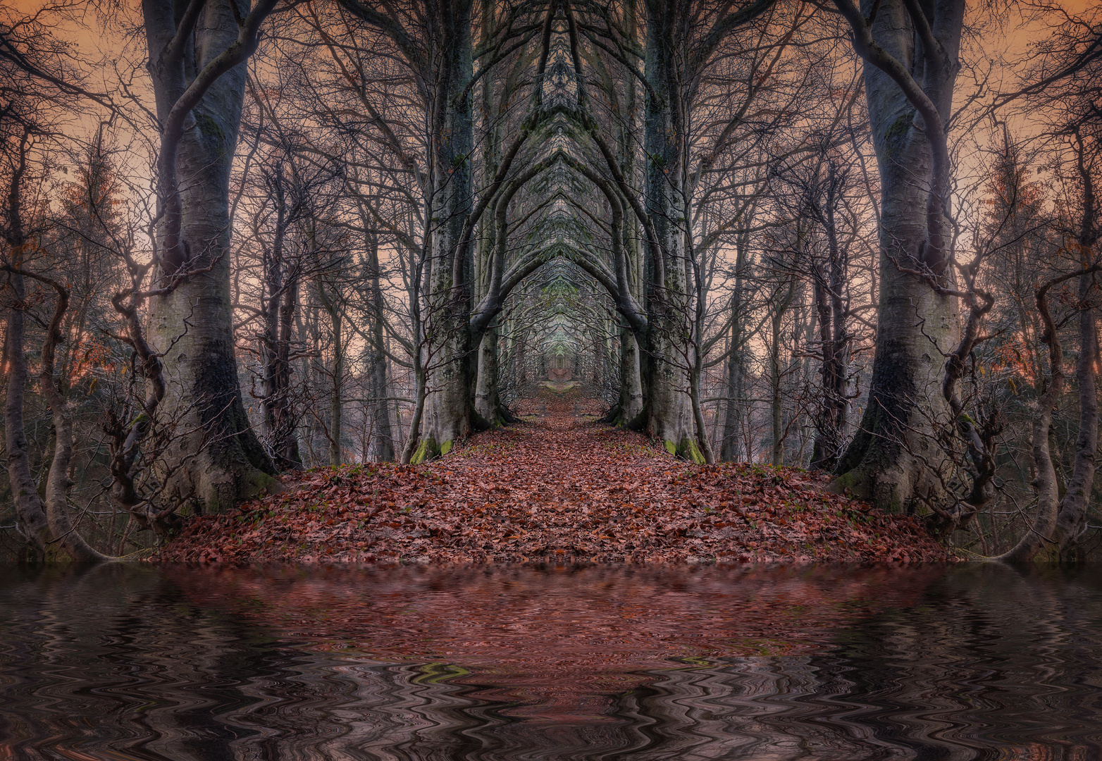 Wald Mystisch Foto Bild Jahreszeiten Herbst Bearbeitungs Techniken Bilder Auf Fotocommunity