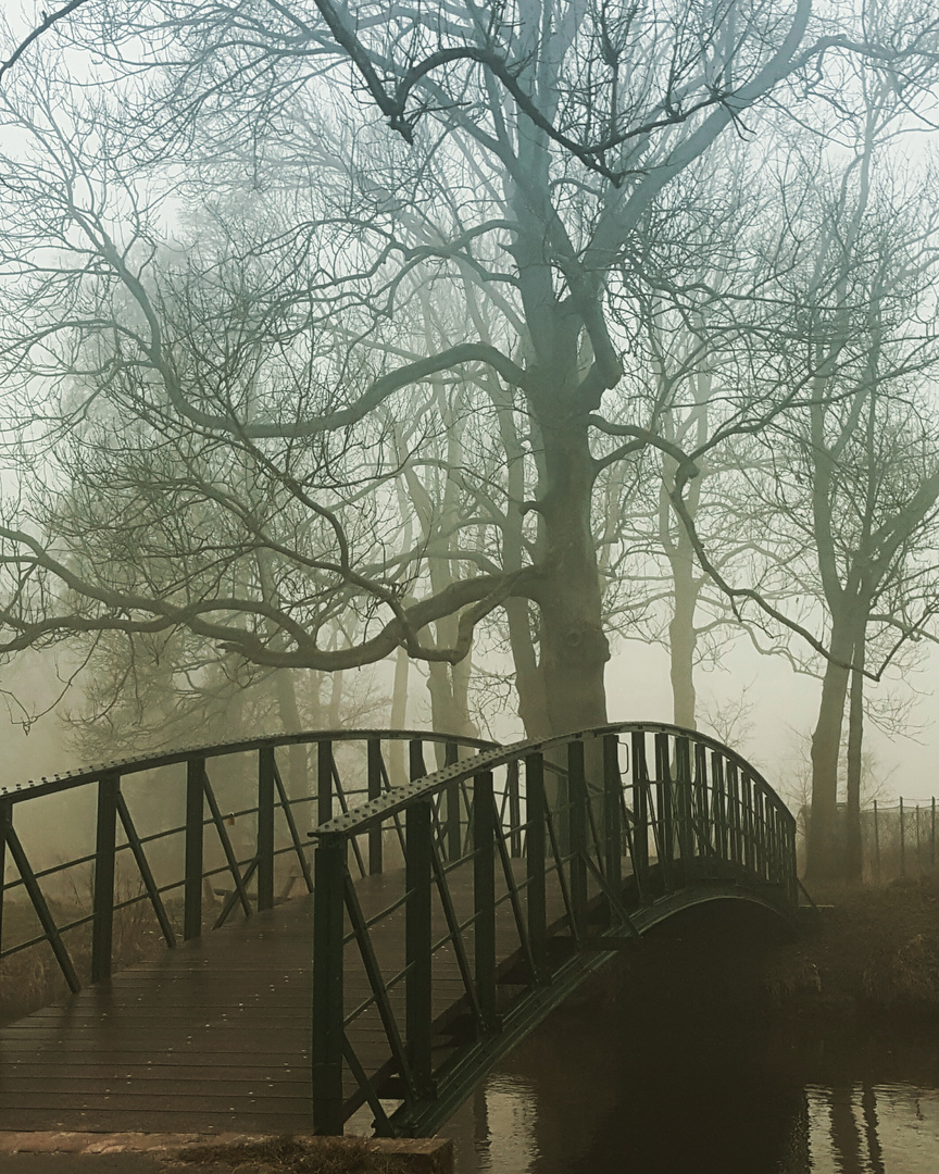 Wald Nebel Brücke