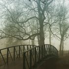 Wald Nebel Brücke