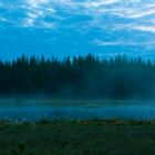 Wald Nebel See