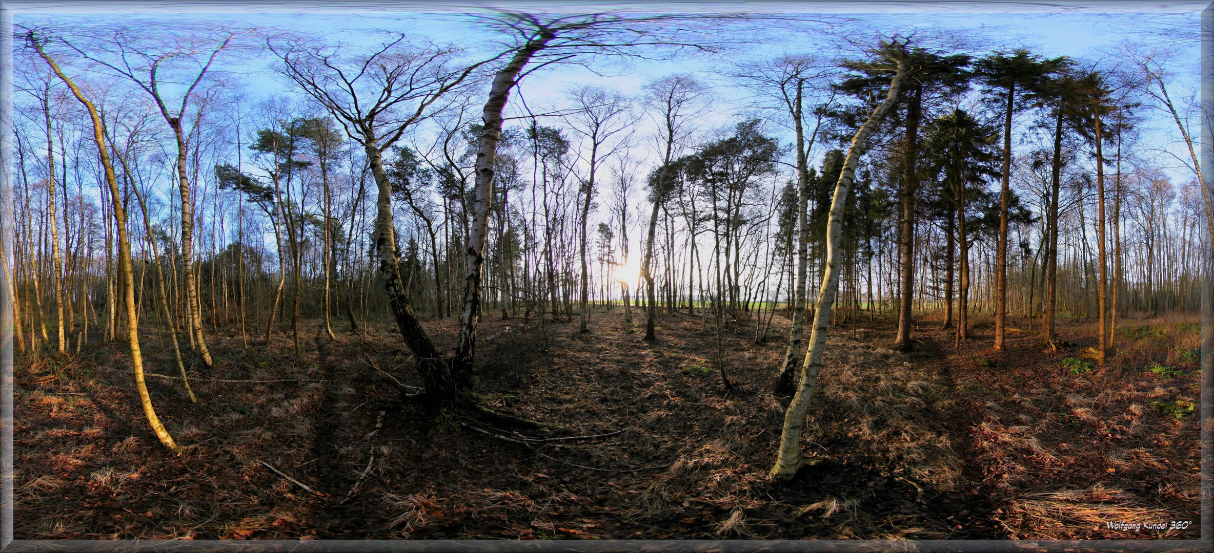 Wald rum - ein Panorama