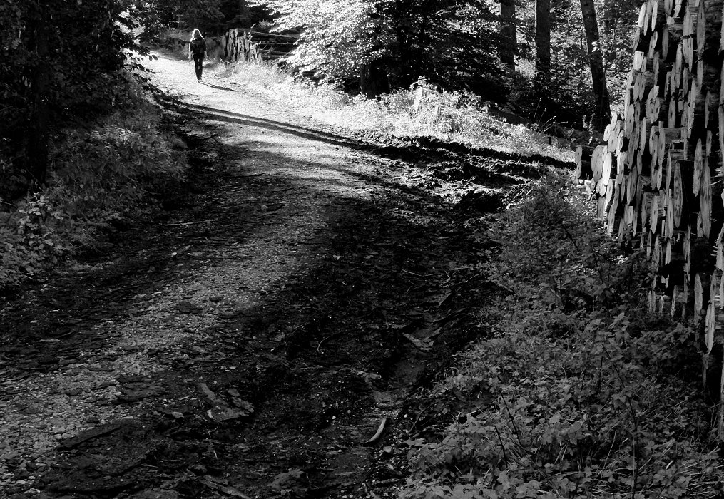 Wald-Schatten-Läufer