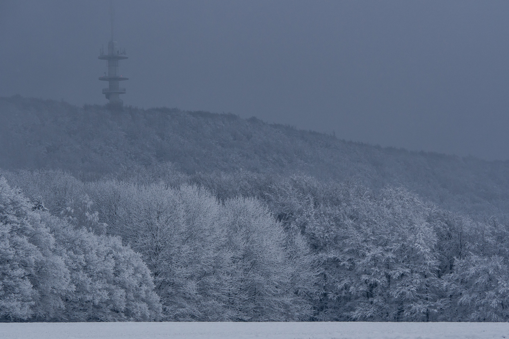 Wald, Schnee und so...