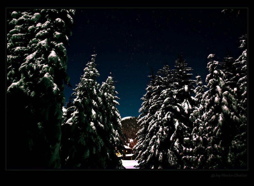 Wald, Schnee und Sterne