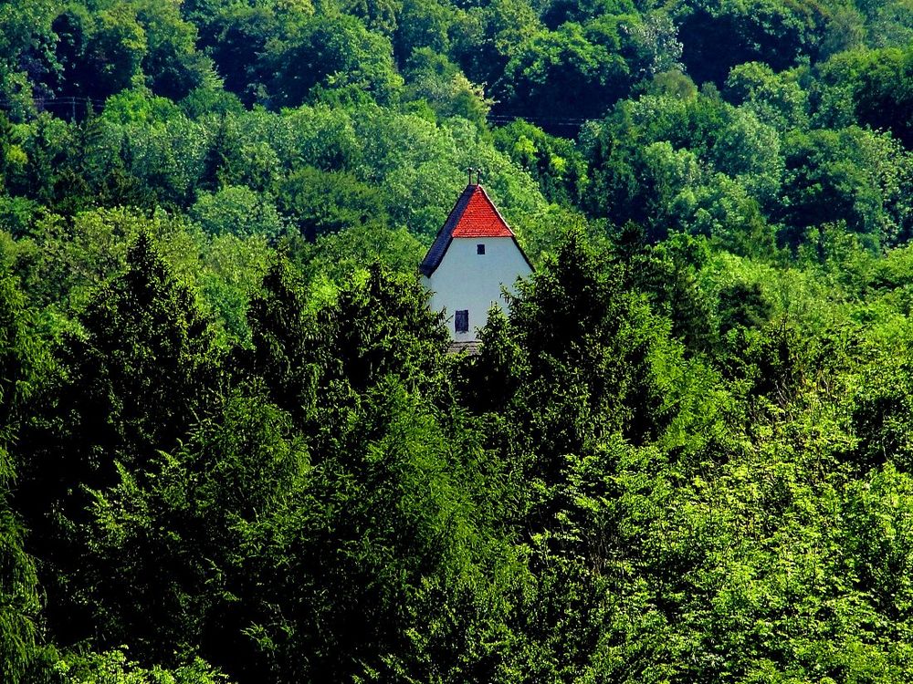 "Wald so weit das Auge reicht", Oberelkofen, 18.05.2011