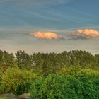 Wald - Sommerabend - HDR