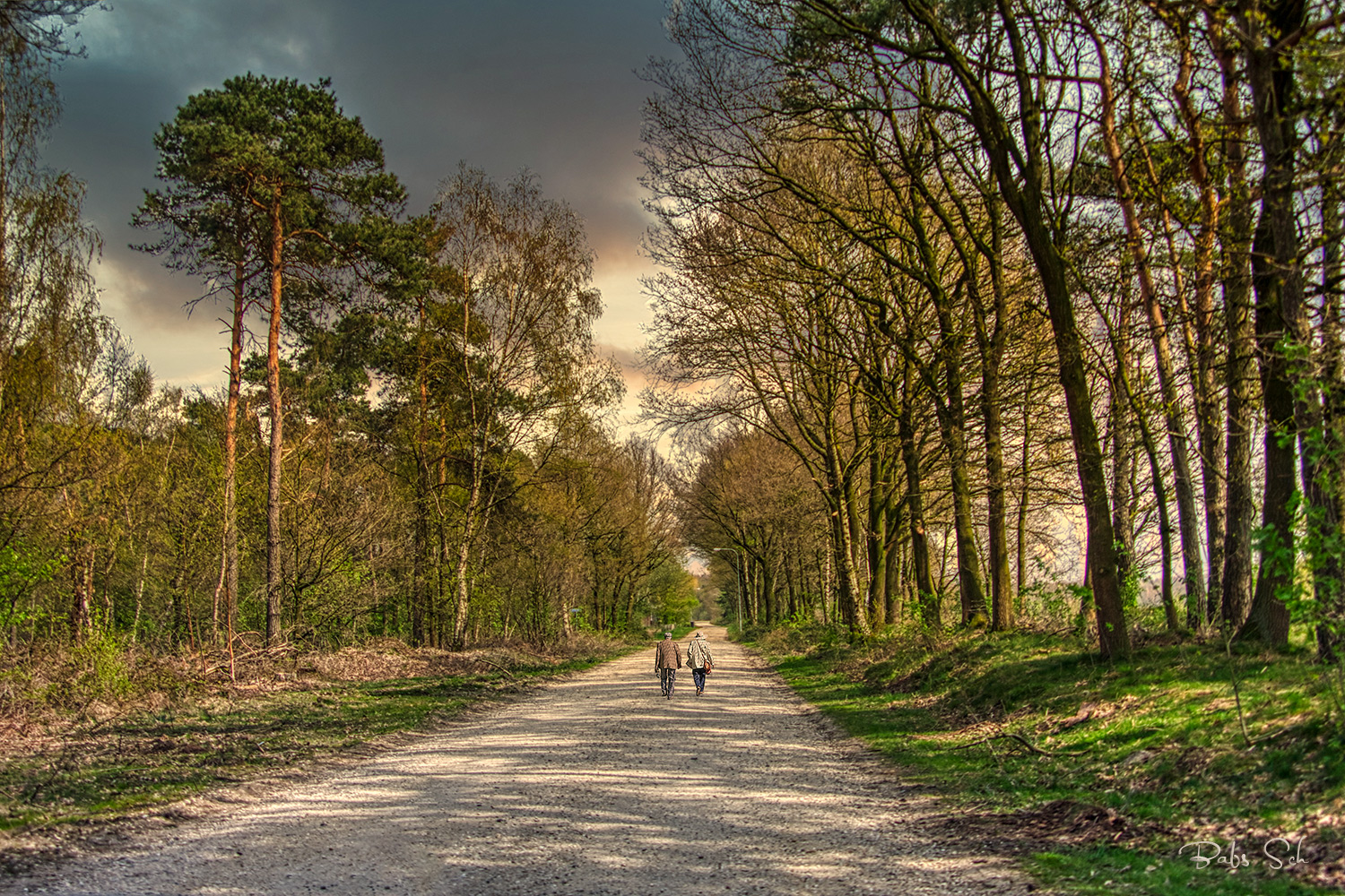 Wald-Spaziergang