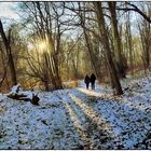 Wald-Spaziergang