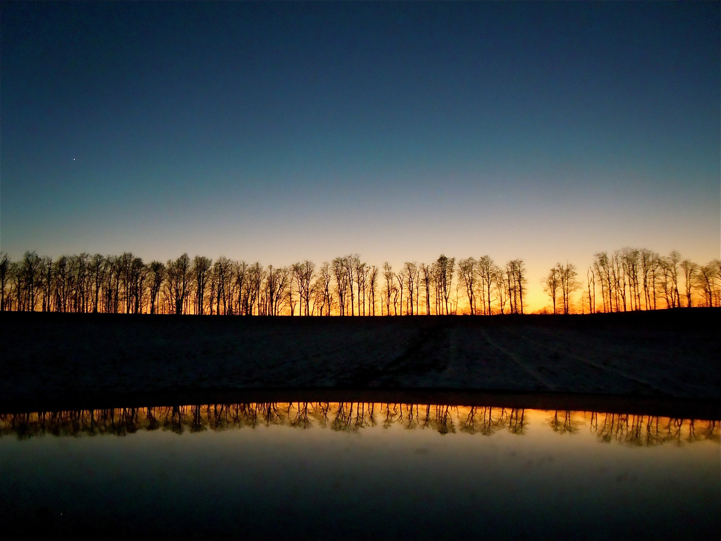 Wald Spiegelung