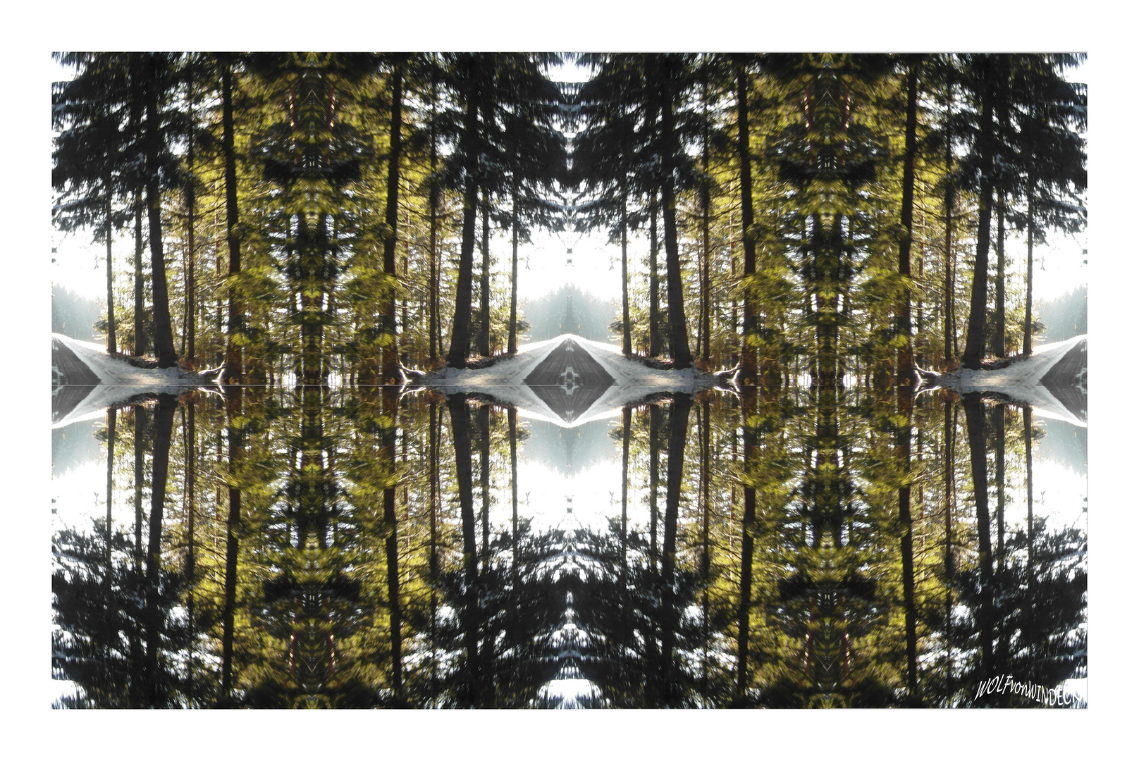 Wald-Symetrie
