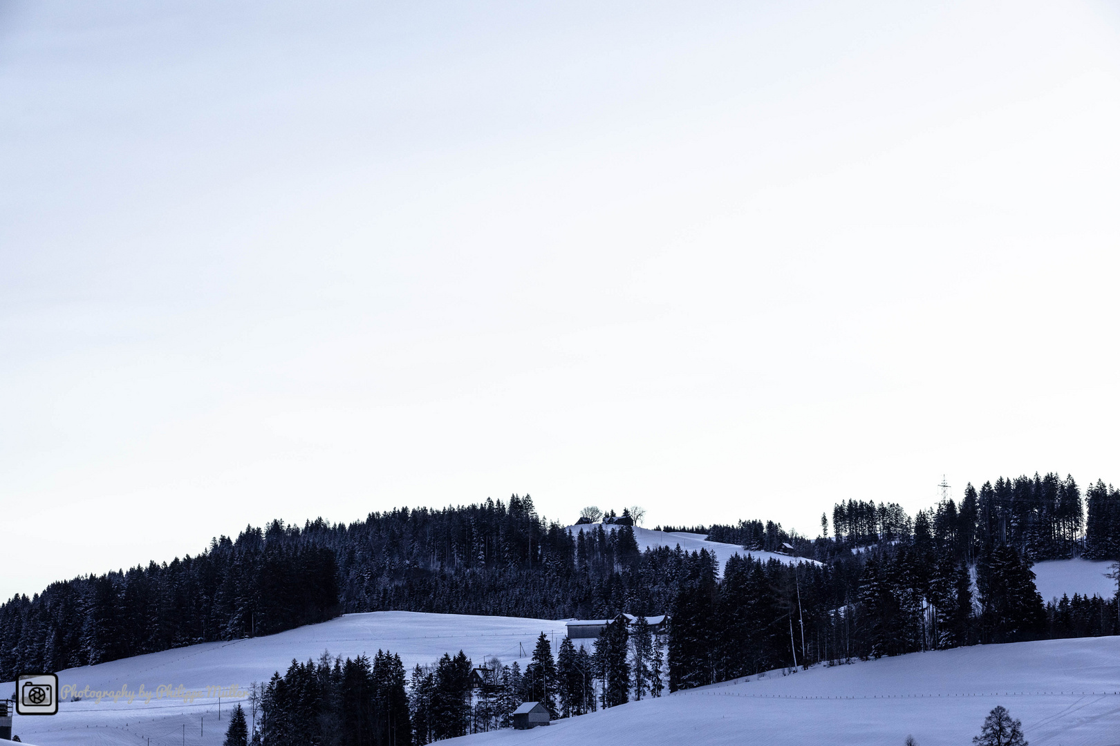 Wald über Schönengrund