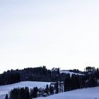 Wald über Schönengrund