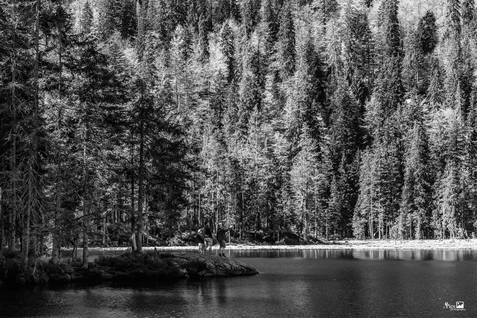 Wald umgeben - Bayern484