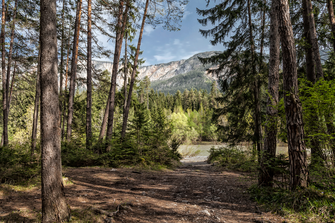 Wald und Berg