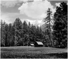 Wald und Berge