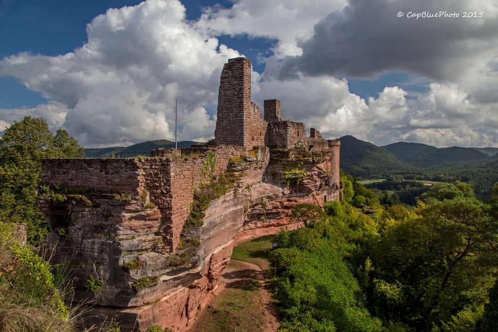 Wald und Burg Altdahn im Dahner Felsenland