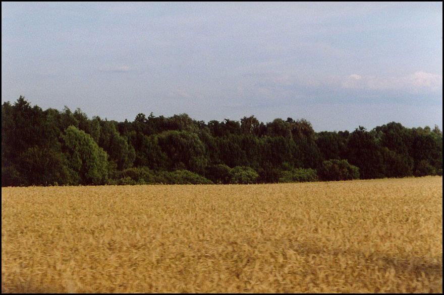 Wald und Feld