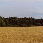 Wald und Feld