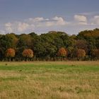 Wald und Feld.