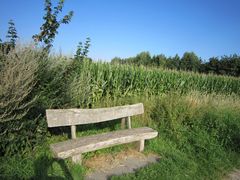 Wald und Feld