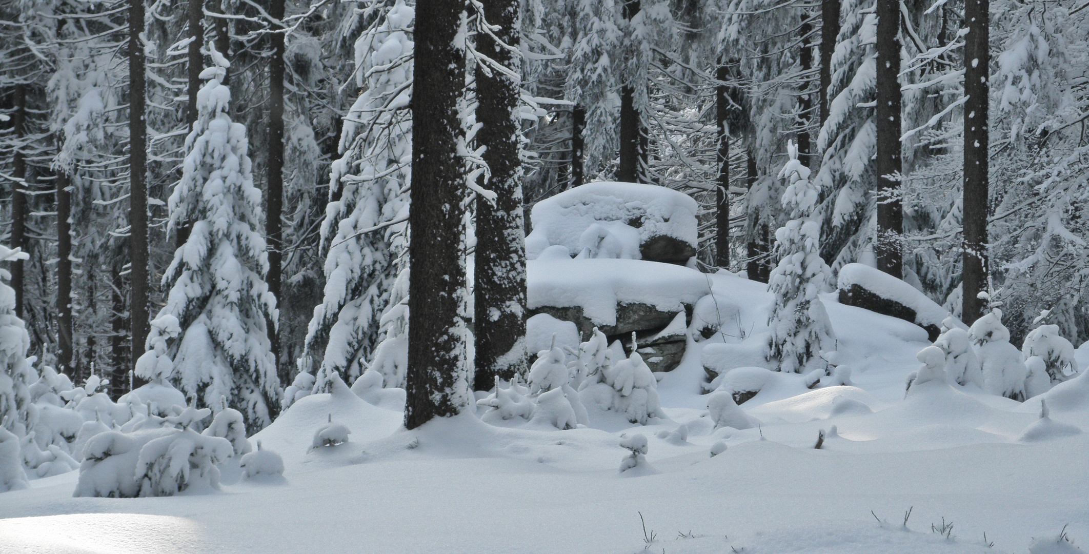 Wald und Felsen, Raureif und Schnee...