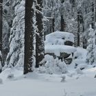 Wald und Felsen, Raureif und Schnee...