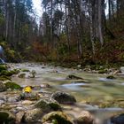 Wald und Fluss im Herbst