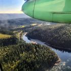 Wald und Fluss in Nord-Norwegen