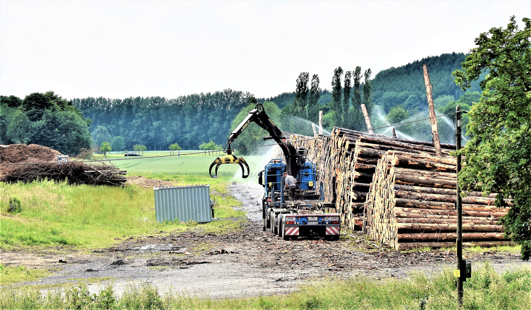 Wald und Forst 