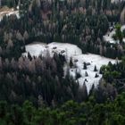 Wald und Lichtung