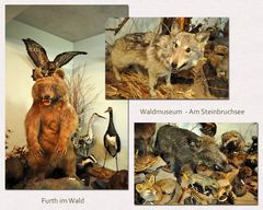 Wald- und Tiermuseum