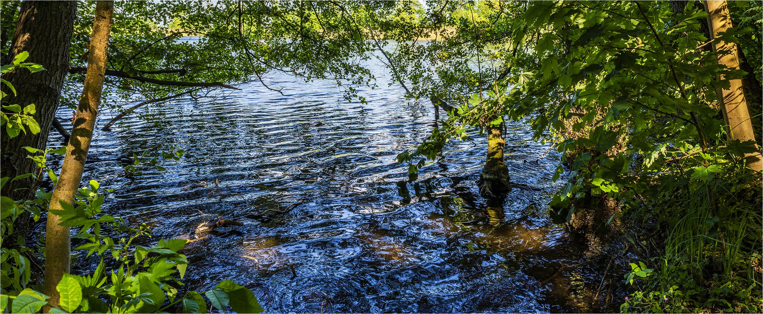 ...Wald und Wasser …